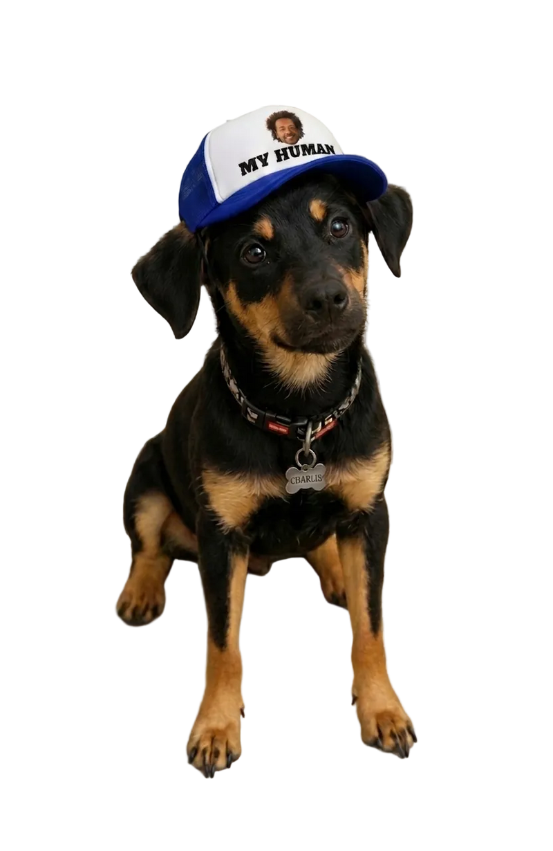 MatchPatch matching human and dog trucker caps, each printed from your own photo